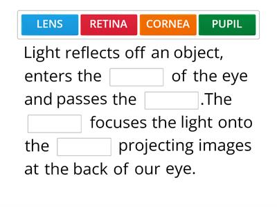 Sense of sight. How does it work?