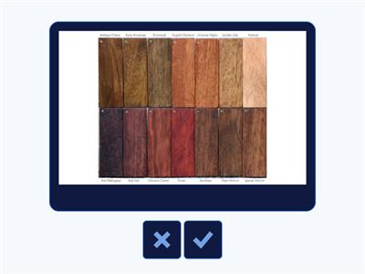 materials speak out b1+