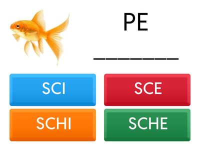 SCI SCE SCHI SCHE