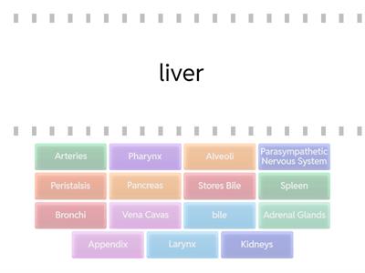 U3-Anatomy and Physiology