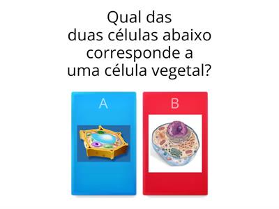 Anatomia Vegetal Para Ensino Médio 