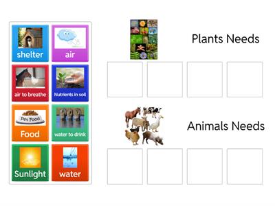  Plants and Animals Needs ( L.4)