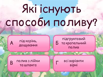 Узагальнення. Догляд за розсадою квітів на клумбах