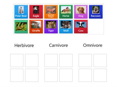 Types of Consumer Sort