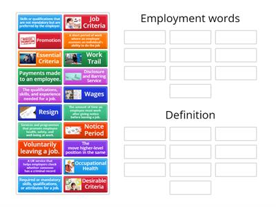 Employment Vocabulary 