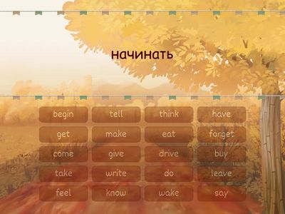 Aleksei,irregular vebs 