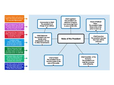 Roles of the President