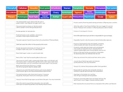 Plant structure, function, and tropisms exam review