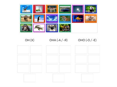 ОН, ОНА, ОНО  (Скажи, привет! Урок 1)