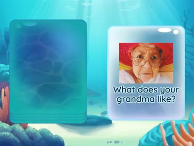 What does your.....like