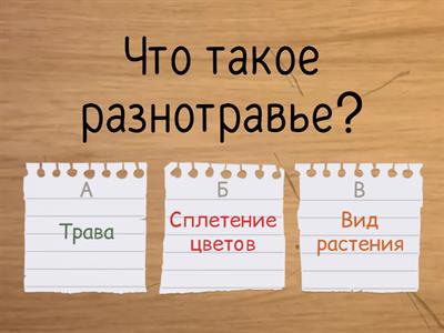 Русский язык 5 класс