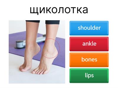  Wider World 2 Unit 6.1