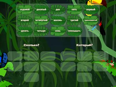 Имя числительное