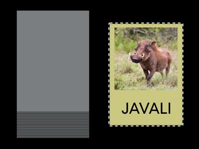 Trissílabas simples - 60