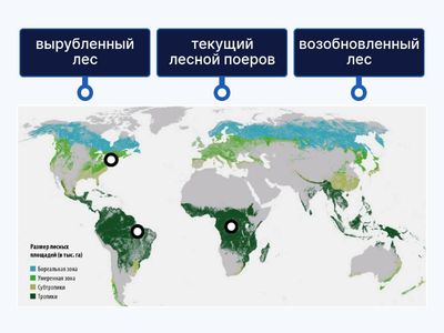 сокращение площади лесов