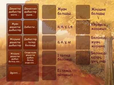 Дұрыс жұбын тап