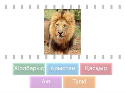 Жануарлар әлемі