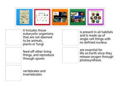 Taxonomy: 5 Kingdoms