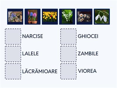 DESCOPERĂ FLORILE DE PRIMĂVARĂ.