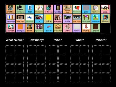 What colour how many who what where