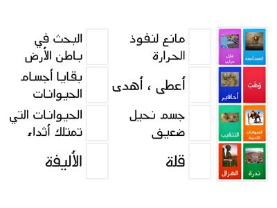 مفردات وتراكيب الجمل يتحدى الصحراء