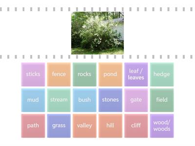 Countryside EF Intermediate Plus
