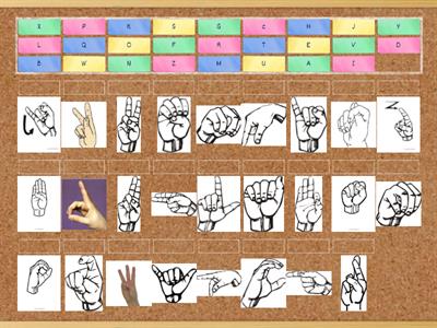 ASL Alphabet