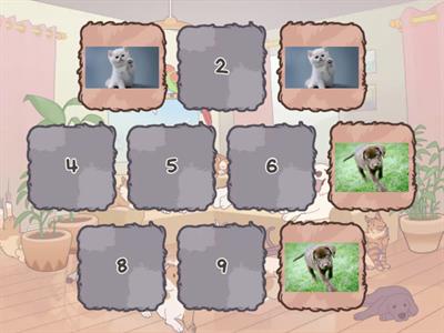 Pets Memory Game