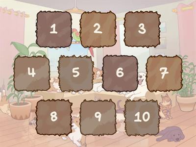 Double Digit Addition and Subtraction (no regrouping)