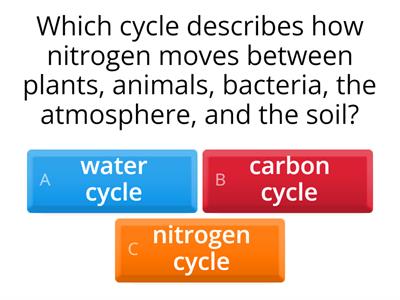 Nitrogen Cycle