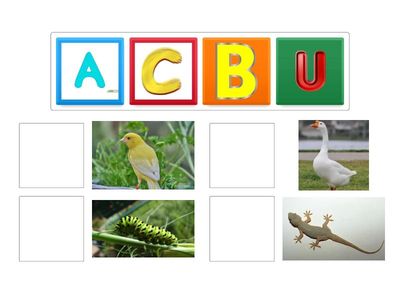 Huruf awal dari nama binatang