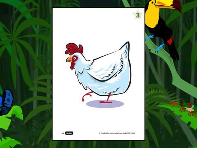 flying fruit PU1-U3-V1