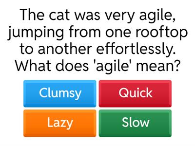 Vocabulary in Context