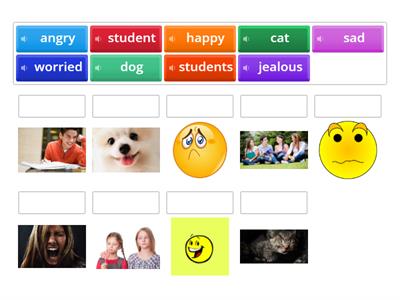 General vocab: roll and read
