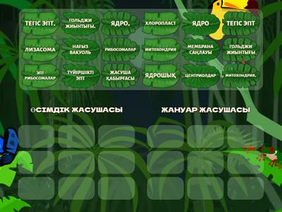 Жыныс және жануарлар