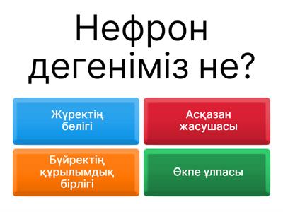 Транс тоннель құрылысы