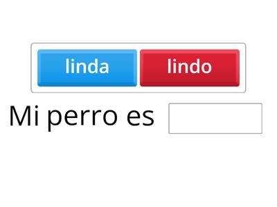 Elige la opción correcta usando masculino o femenino