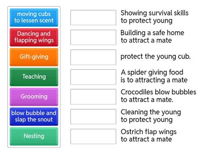 Animal Behaviors Protect young or Attract a Mate?