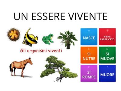 Esseri viventi e non 