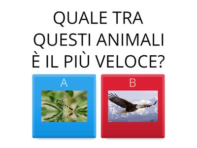  ANIMALI DA RECORD: CURIOSITÀ