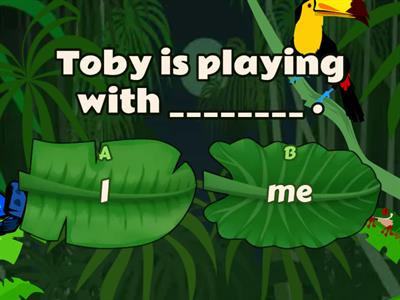 Subject and object pronouns 