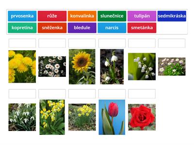 Poznávání rostlin