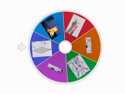 Reflex arch grade 12