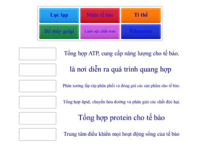 BÀI TẬP CŨNG CỐ