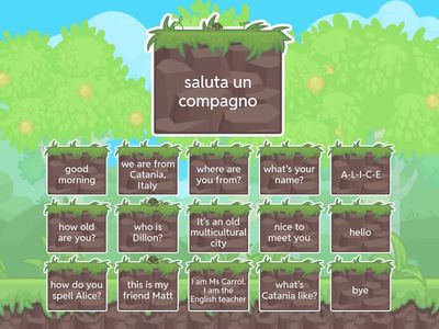 functional communication level 1