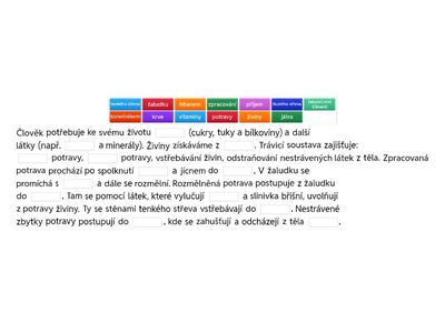 Trávicí soustava - informace test