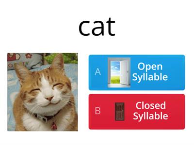 Open and Closed Syllables Quiz