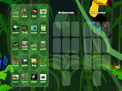 Viviparous and Oviparous 