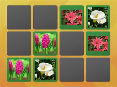 ΠΑΙΧΝΙΔΙ ΜΝΗΜΗΣ