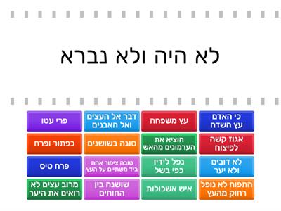 משחק ניבים וביטויים לטו בשבט